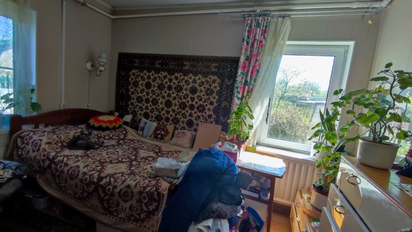 Спальня с кроватью, настенным ковром и комнатными растениями