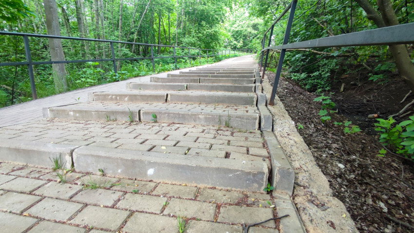 Изношенные ступени лестницы на участке лесного склона