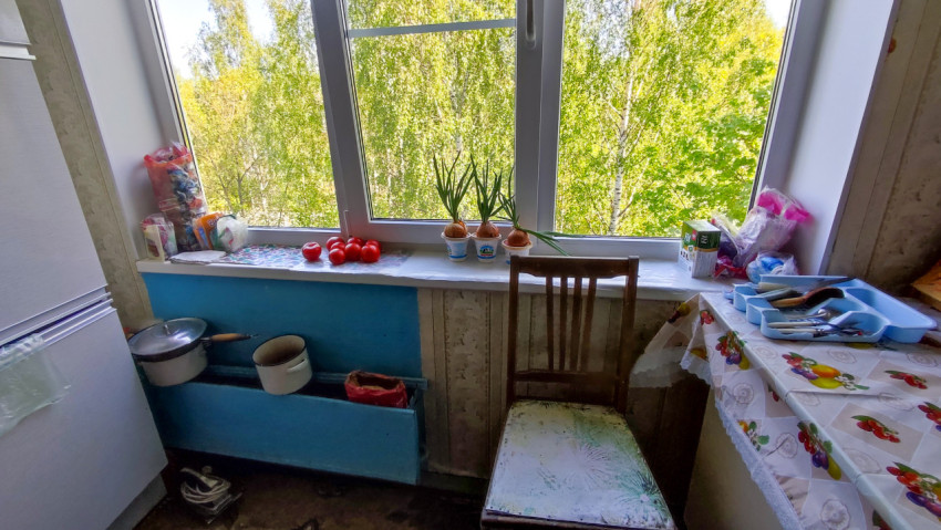 Кухонный подоконник с овощами, растениями и видом на зелёные деревья