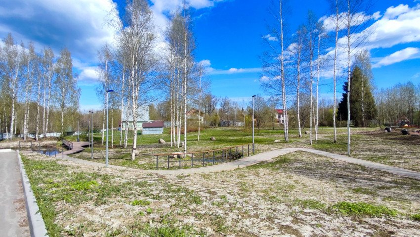 Пешеходные дорожки и берёзы на благоустроенной территории