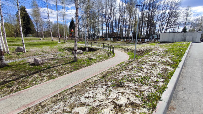 Извилистая пешеходная дорожка в берёзовой роще