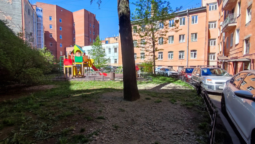 Дворовая территория с деревом и детской площадкой рядом с жилыми домами