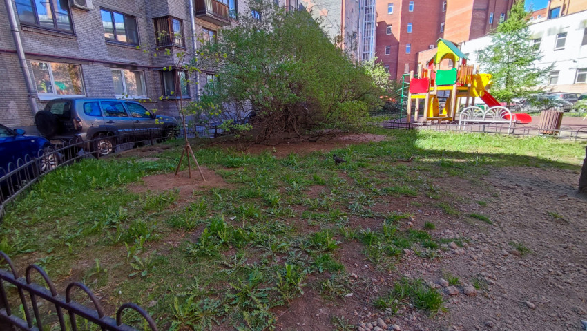 Двор с густым кустарником и детской площадкой на фоне жилых зданий