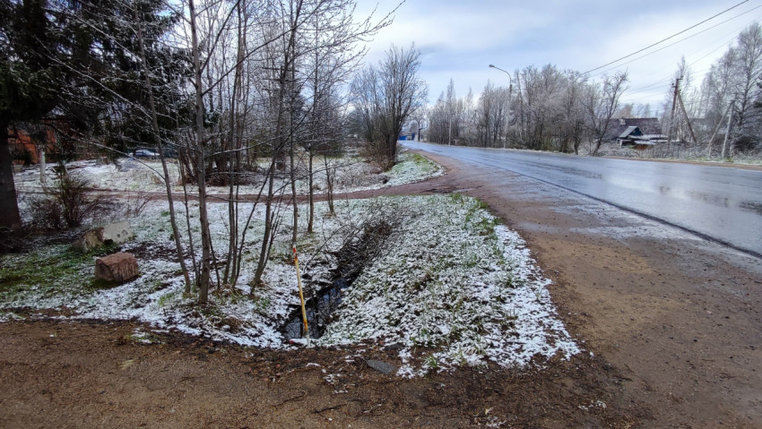 Асфальтированная дорога и деревья с остатками снега по краям
