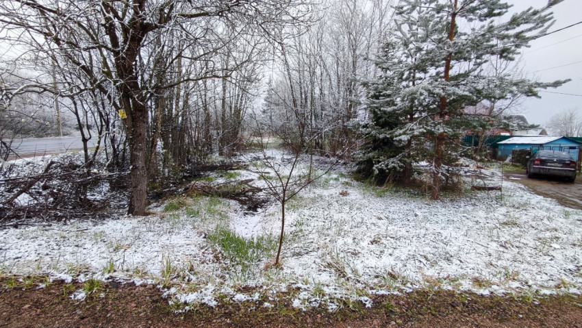 Заснеженная лесополоса и дом в глубине участка