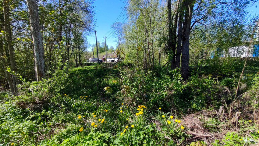 Заросший склон рядом с дорогой и опорами ЛЭП