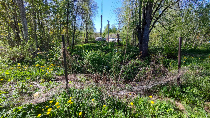 Заброшенный участок с остатками сетчатого ограждения