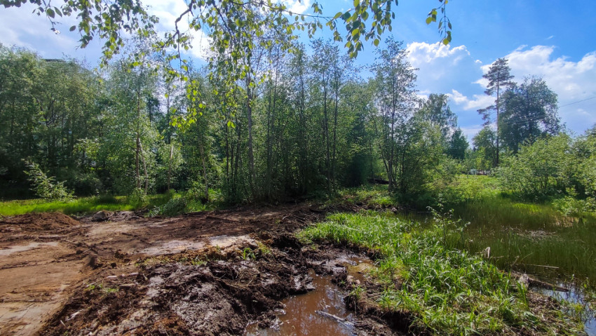 Участок с влажным грунтом и растительностью на месте будущего благоустройства