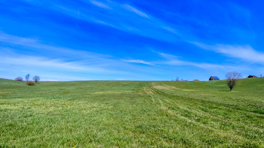 Зелёный холм с одинокими деревьями и домами на горизонте
