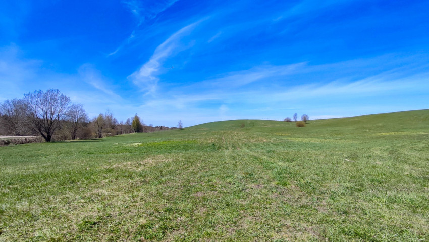 Весеннее поле с холмами и деревьями под голубым небом