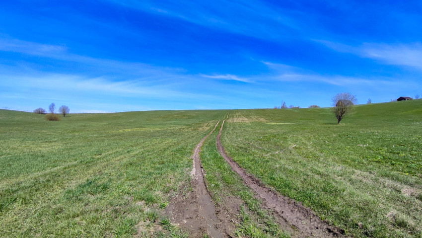 Весенний холм с колеёй от автомобиля на зелёном поле
