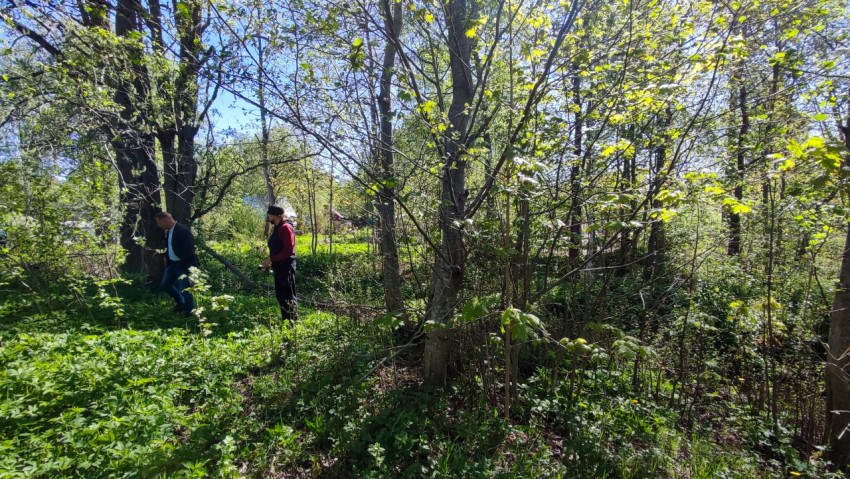 Люди на лесном участке рядом с деревьями