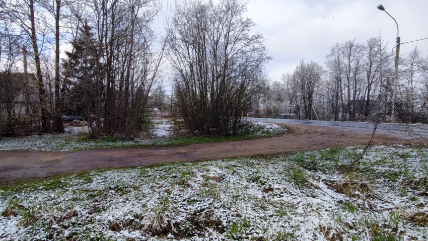 Заснеженная обочина и грунтовая дорога у лесополосы