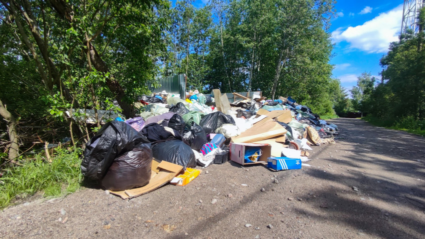 Свалка бытовых отходов на лесной окраине