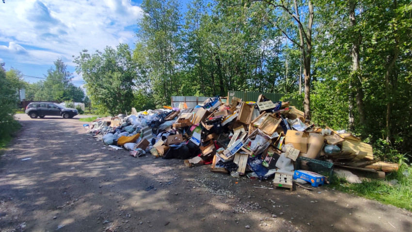 Стихийная свалка вдоль просёлочной дороги с большим объёмом отходов