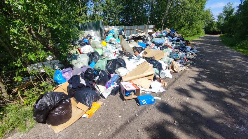 Крупное скопление мусорных мешков и упаковки на обочине лесной дороги