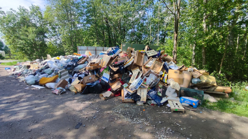Стихийная свалка с большим объёмом упаковки и мягких отходов