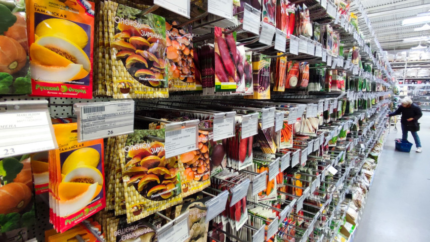 Ассортимент семян овощей и грибов на полках магазина