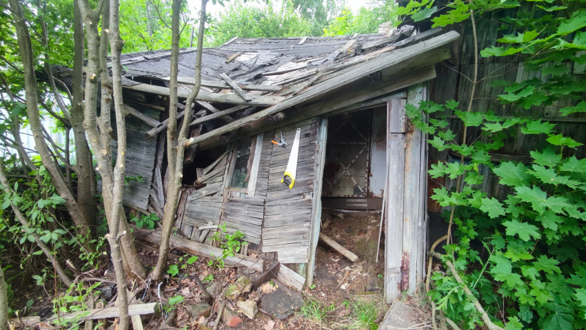 Заброшенное деревянное строение в зарослях
