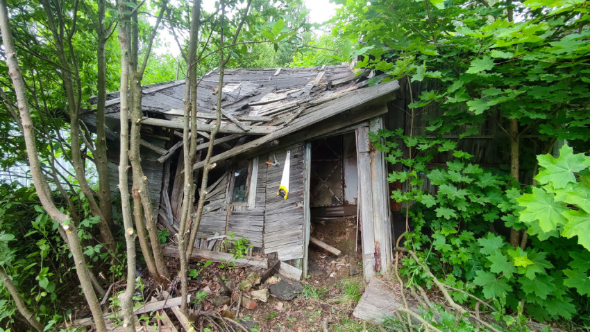 Заброшенное деревянное строение среди деревьев