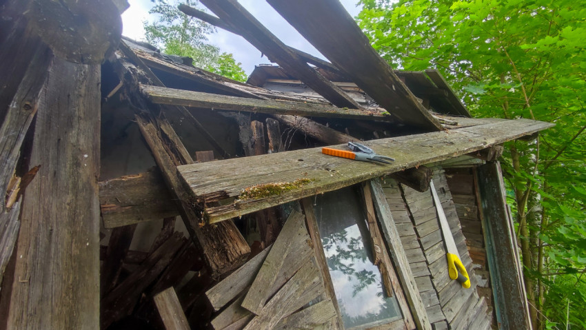 Обрушенные балки крыши заброшенной деревянной постройки среди зелени