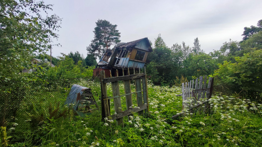 Заброшенный перекошенный деревянный дом за сетчатым забором среди высокой травы и кустарников