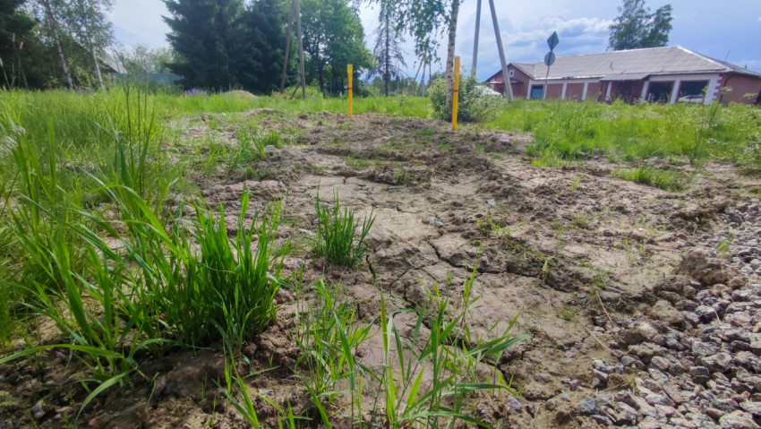 Участок растрескавшейся почвы с травой и жёлтыми сигнальными столбиками на фоне построек