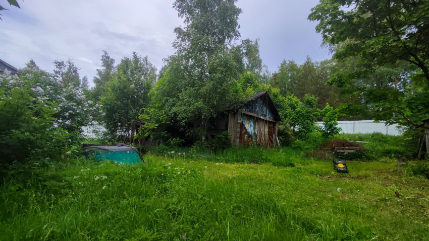 Заросший дачный участок с деревянным сараем и садовой техникой