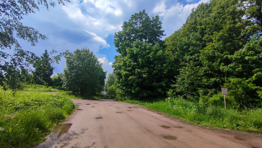 Поворот загородной дороги среди деревьев и информационного щита