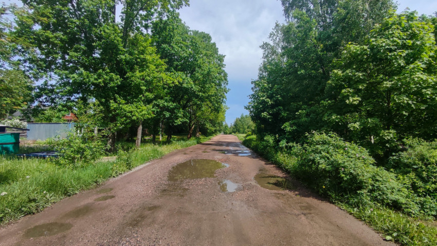 Грунтовая дорога с лужами среди деревьев летом
