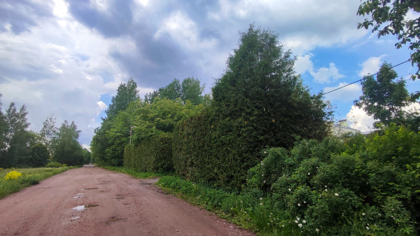 Загородная дорога с лужами и живой изгородью под облачным небом