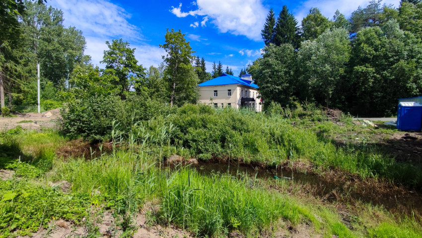 Канал с водой и камышом рядом со зданием с синей крышей и стройзоной