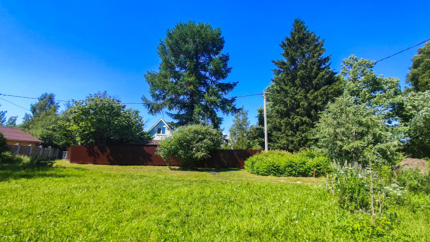 Загородный участок с газоном, деревьями, забором и столбом линии электропередачи