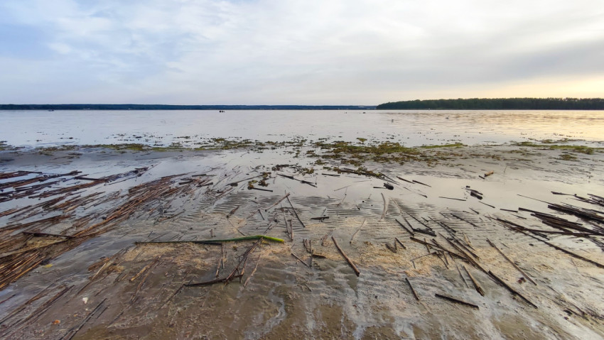 Панорама озера с низким уровнем воды, песчаным мелководьем и тростниковыми остатками на берегу