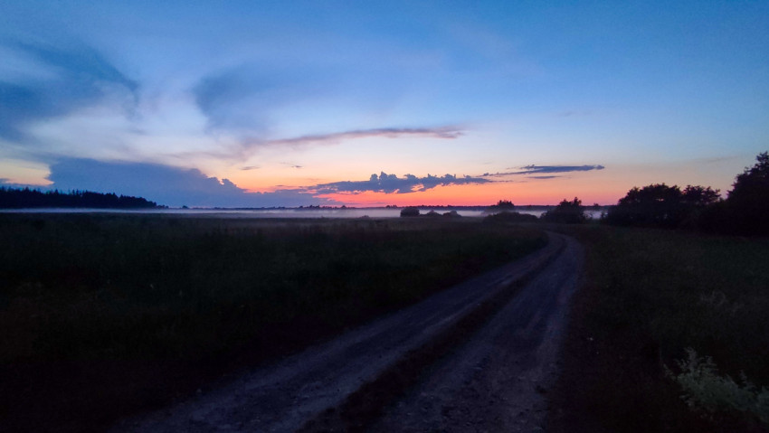 Просёлочная дорога уходит в поле на закате при низком тумане