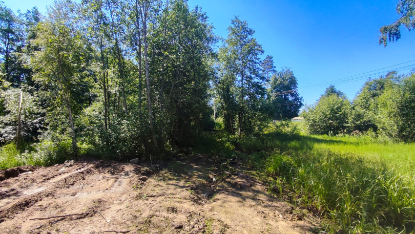 Лесная поляна с высокой травой и участком нарушенного грунта под линиями электропередачи