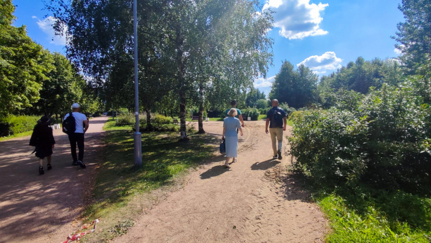 Пешеходы на грунтовой тропинке среди берёз и кустарников в парке