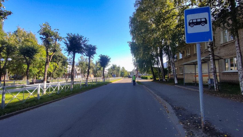 Знак автобусной остановки рядом с павильоном и тротуаром у берёзовой аллеи