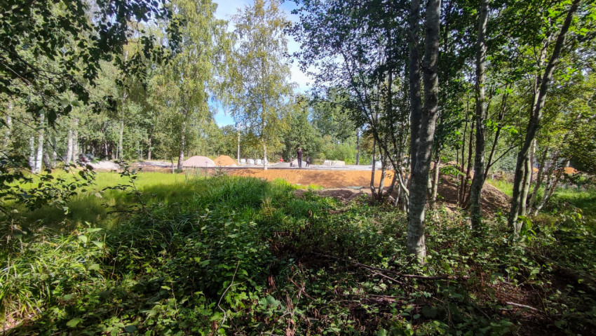 Опушка леса и просека с земляными работами на фоне берёз и густой зелени