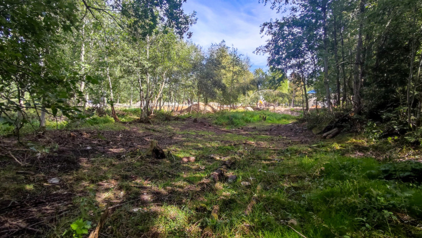 Срубленные ветки и древесные остатки на лесной поляне рядом с зоной земляных работ