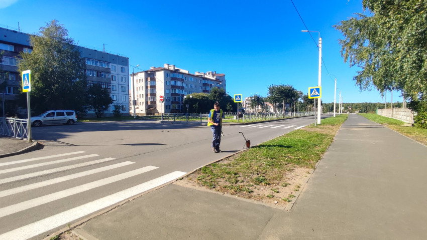 Рабочий катит измерительное колесо через «зебру» на перекрёстке