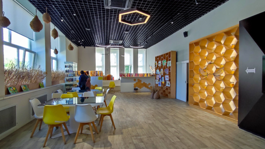 Интерьер зала с выставкой продуктов пчеловодства