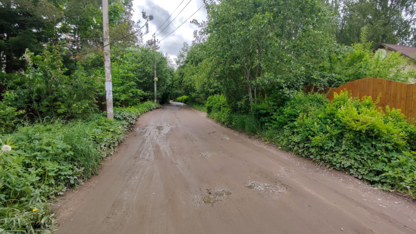 Пейзаж безлюдной дороги среди зелени в тихом пригороде