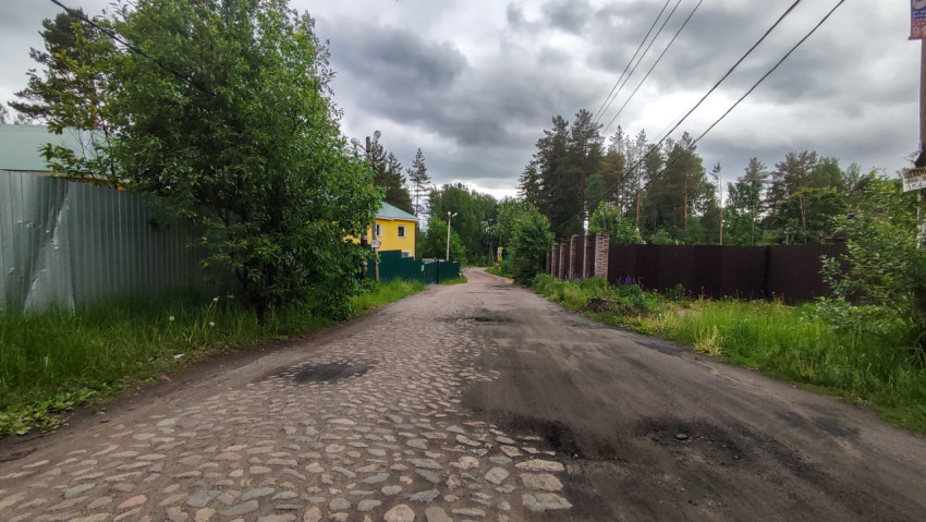 Узкая дорога между зелёными деревьями и домами в пригороде