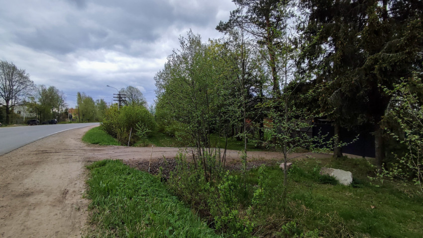 Загородная дорога с ответвлением и зелёными насаждениями