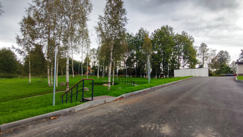 Асфальтированная дорога и зелёная зона с берёзами