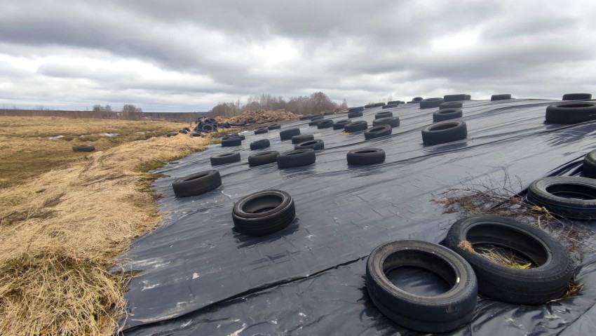 Укрытие силосного хранилища в поле с утяжелением шинами