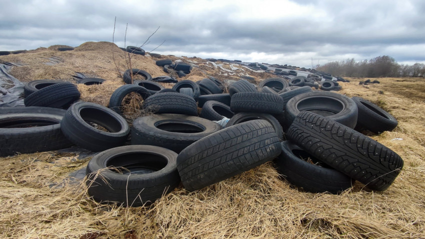 Автомобильные покрышки, использованные для фиксации силосной плёнки
