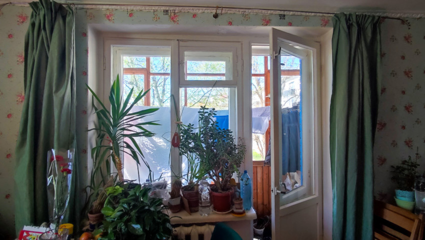 Окно комнаты с комнатными растениями и выходом на балкон