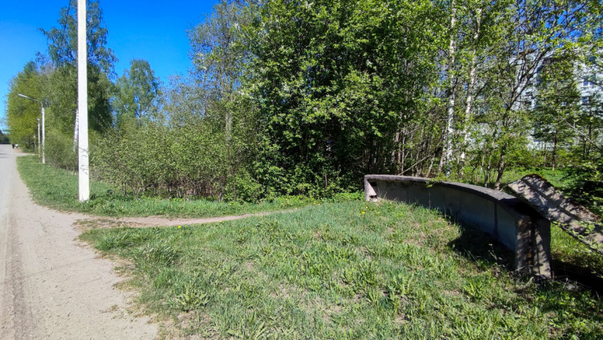 Пешеходная зона у кустарников и обочины дороги